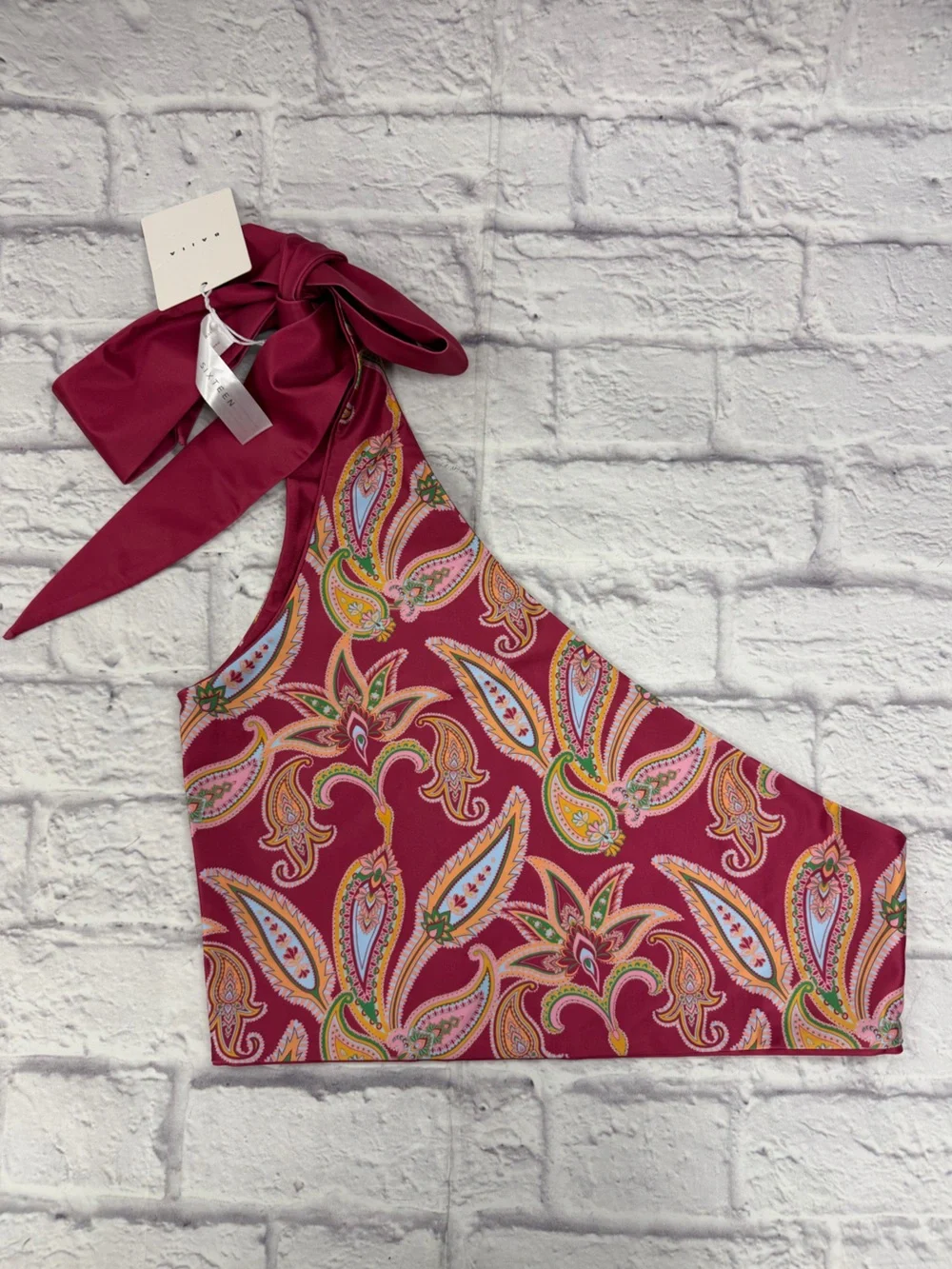BAIIA One Shoulder Sangria Pink Paisley Reversible Bikini Bottom 18 Top 16 NWT's